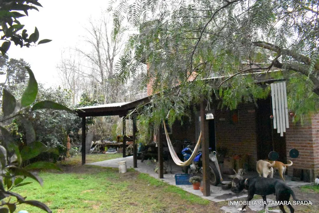 VENTA EN BLOCK DE 4 PROPIEDADES EN EL MONTE