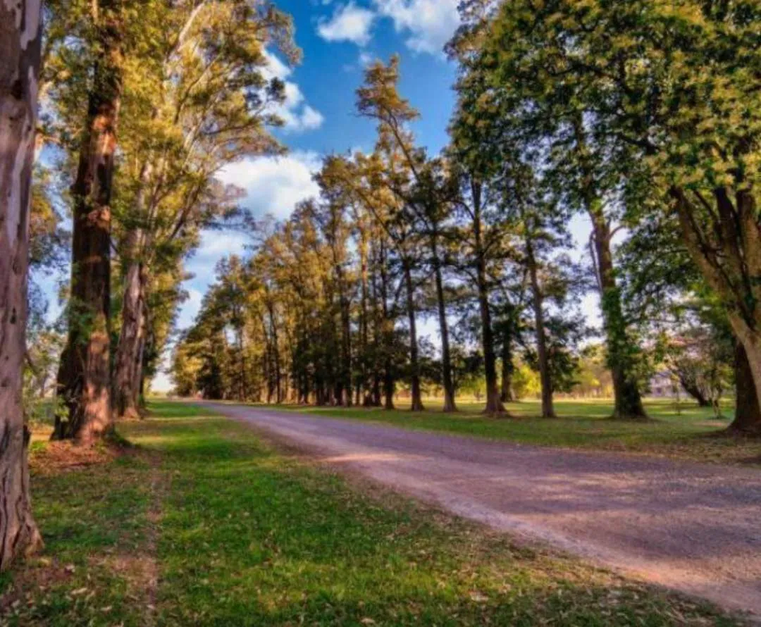 LOTE EN VENTA- Villa de Campo Tres Pinos. General Rodriguez