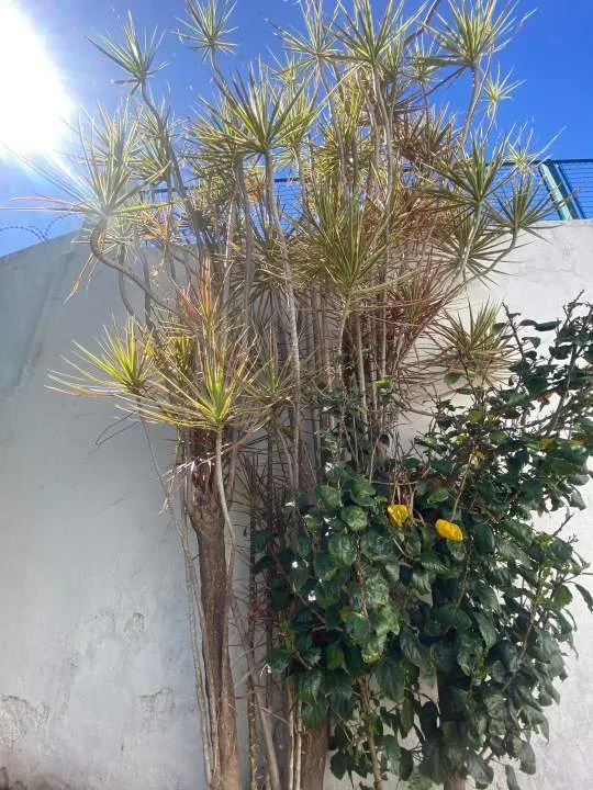 Casa en Venta en Ramos Mejia