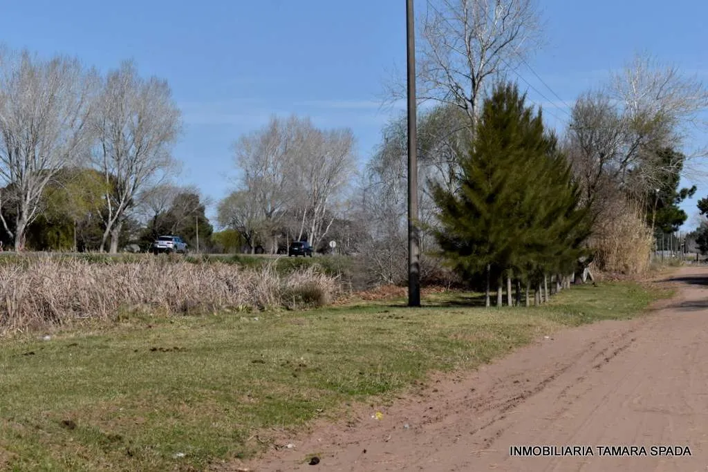 9 HECTAREAS CON FRENTE A RUTA 11, KM 323
