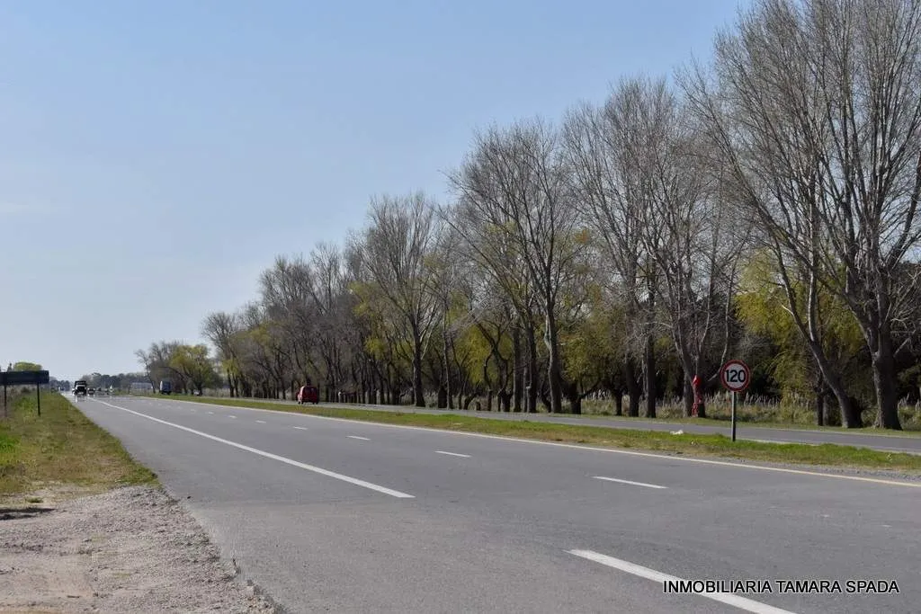 9 HECTAREAS CON FRENTE A RUTA 11, KM 323