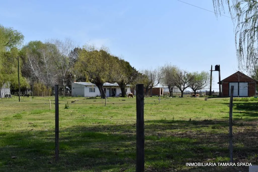 9 HECTAREAS CON FRENTE A RUTA 11, KM 323