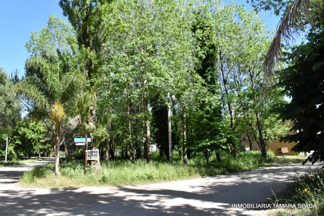 LOS ROBLES ESQUINA LOS TILOS, CON PLANO APROBADO EN JAGUEL DEL MEDIO