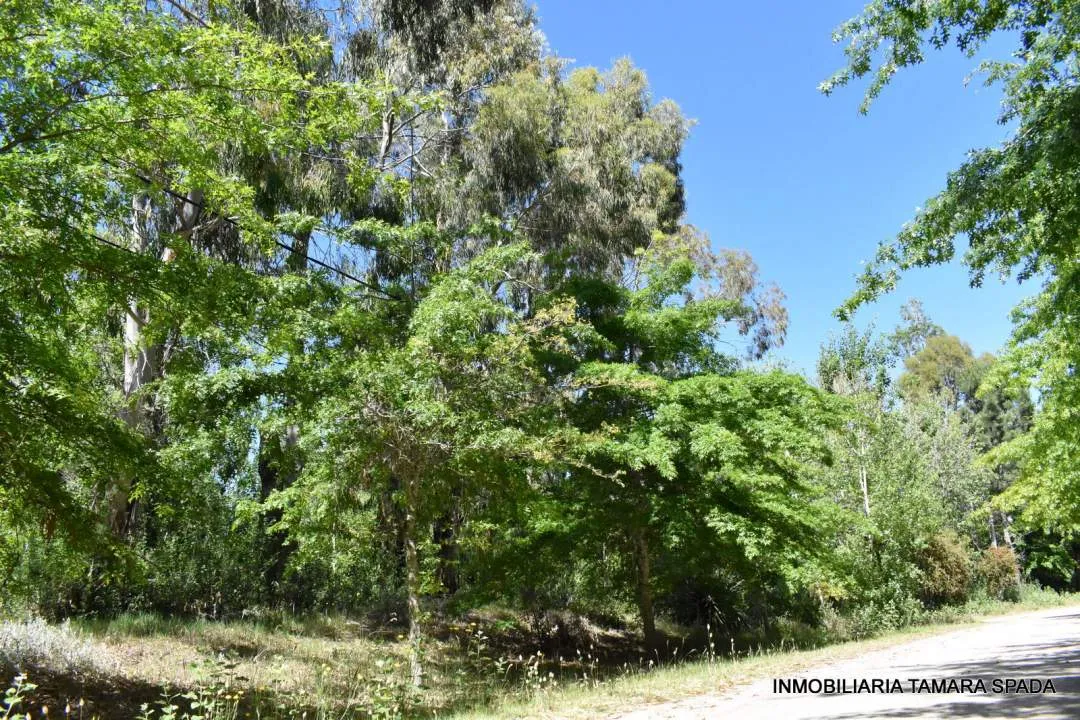 LOS ROBLES ESQUINA LOS TILOS, CON PLANO APROBADO EN JAGUEL DEL MEDIO