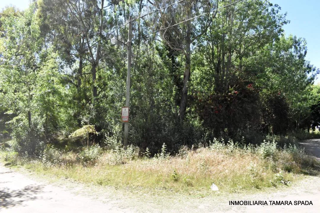 LOS ROBLES ESQUINA LOS TILOS, CON PLANO APROBADO EN JAGUEL DEL MEDIO