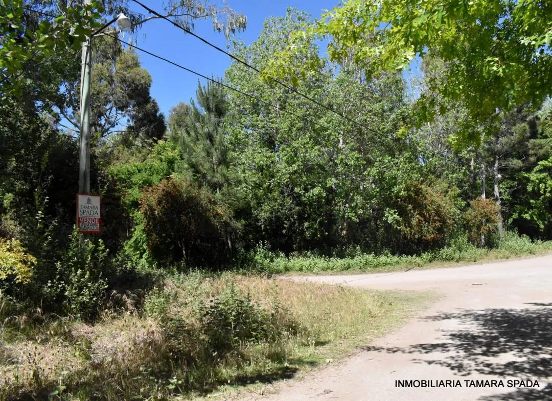 LOS ROBLES ESQUINA LOS TILOS, CON PLANO APROBADO EN JAGUEL DEL MEDIO