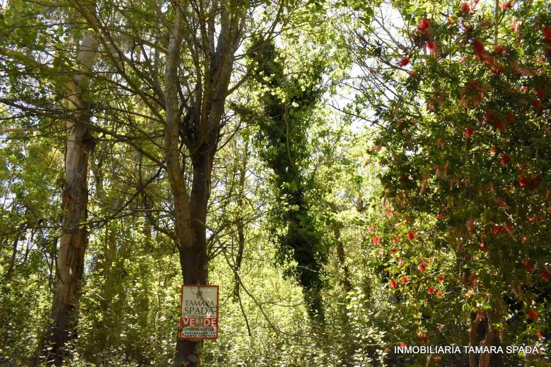 LOS ROBLES ESQUINA LOS TILOS, CON PLANO APROBADO EN JAGUEL DEL MEDIO