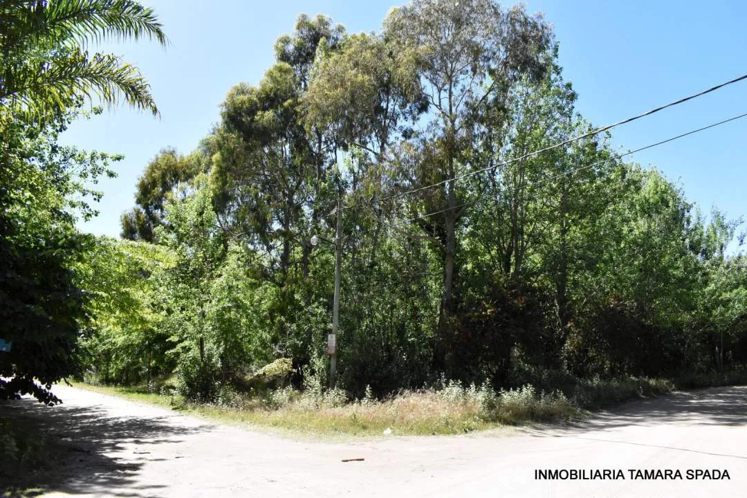LOS ROBLES ESQUINA LOS TILOS, CON PLANO APROBADO EN JAGUEL DEL MEDIO