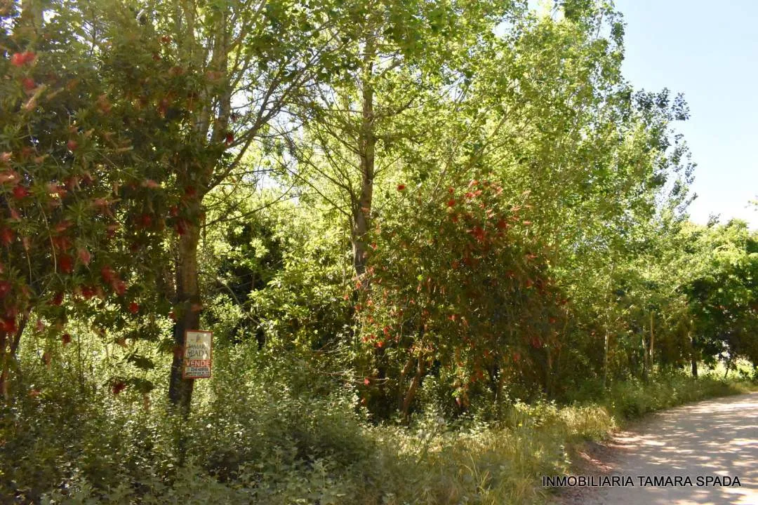 LOS ROBLES ESQUINA LOS TILOS, CON PLANO APROBADO EN JAGUEL DEL MEDIO