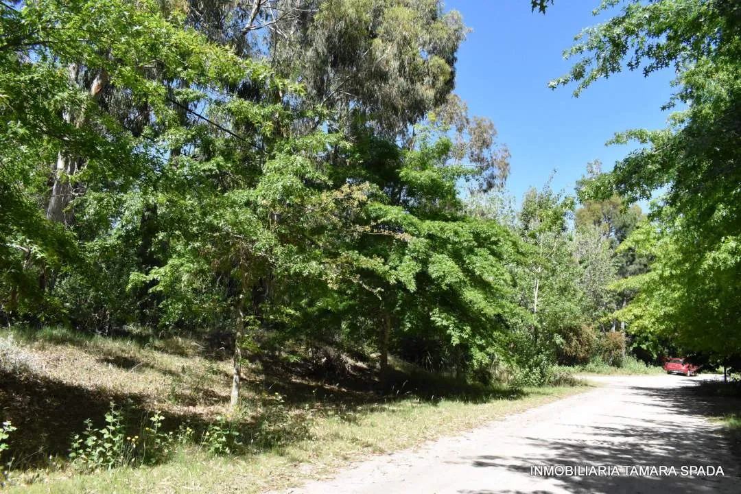 LOS ROBLES ESQUINA LOS TILOS, CON PLANO APROBADO EN JAGUEL DEL MEDIO