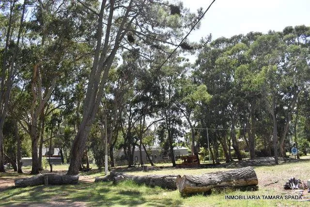 SANTIAGO DEL ESTERO ENTRE PARQUE PUBLICO Y AV. 27