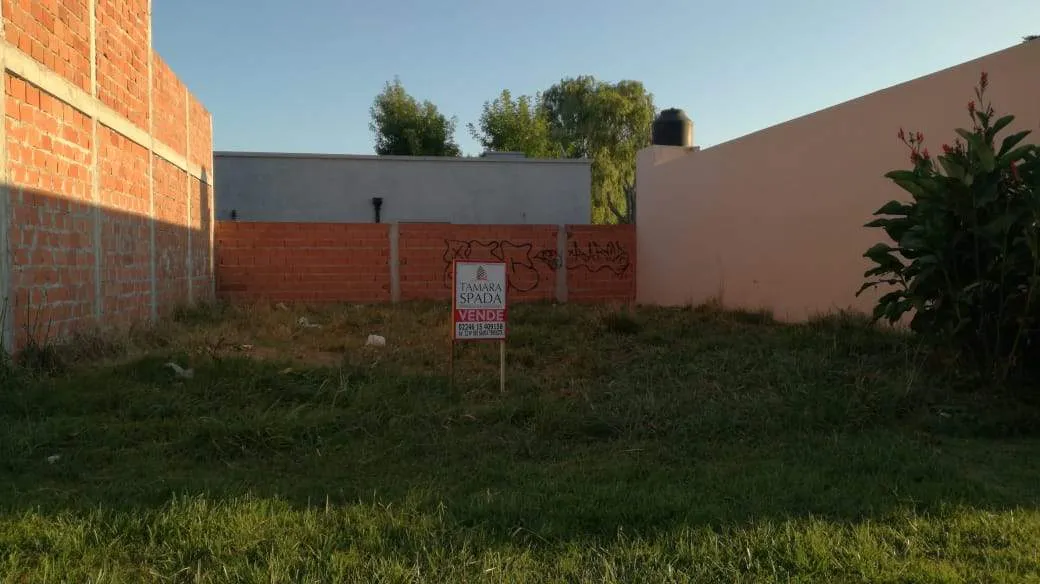 37 ANTE ESQUINA 11