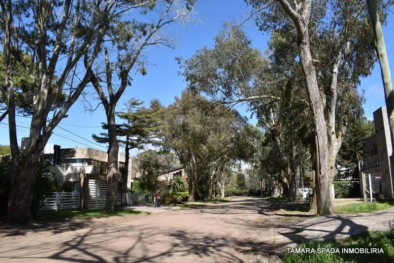 MENDOZA ANTE ESQUINA ENTRE RIOS