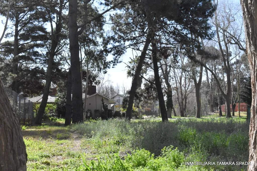 MENDOZA ANTE ESQUINA ENTRE RIOS