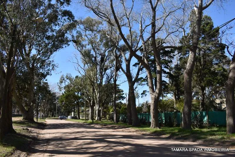 ENTRE RIOS ESQUINA MENDOZA