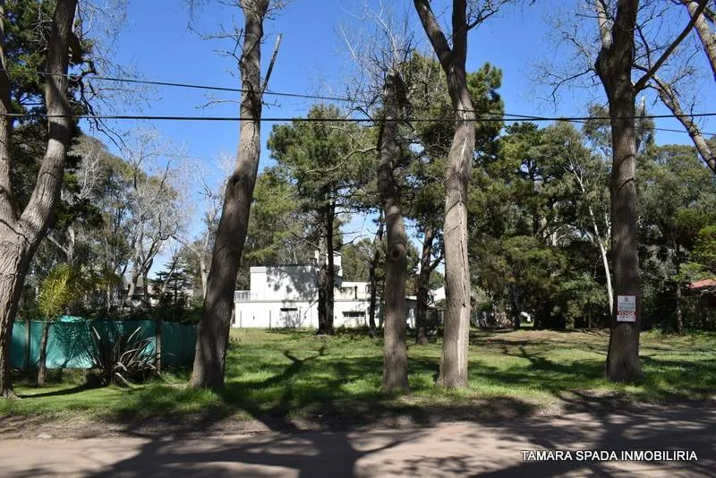 ENTRE RIOS ESQUINA MENDOZA