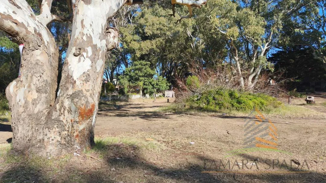 CORDOBA ENTRE AV. 27 Y PARQUE PÚBLICO