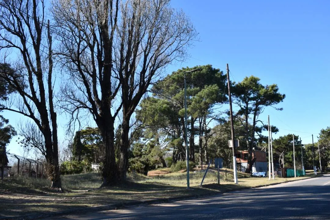 LOTES EN AV. 7 ESQUINA MENDOZA A 200 METROS DEL MAR