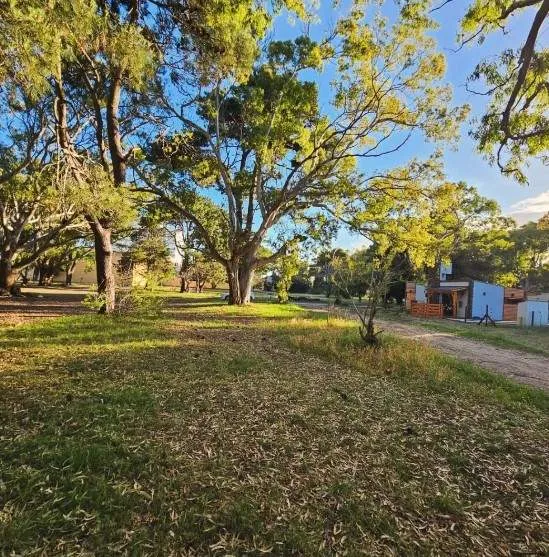 DOS CABAÑAS SOBRE EL MONTE