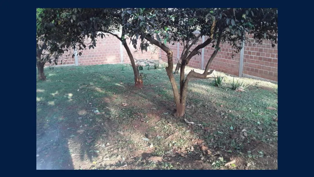 VENTA 2 TERRENOS BALDIOS en esquina con Muro