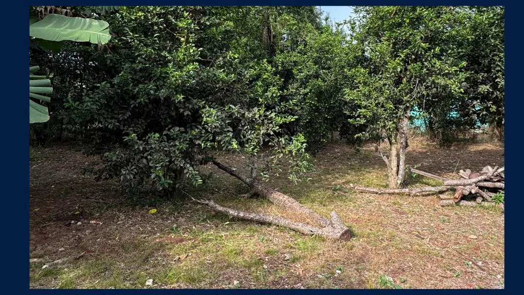 Amplio TERRENO en VENTA