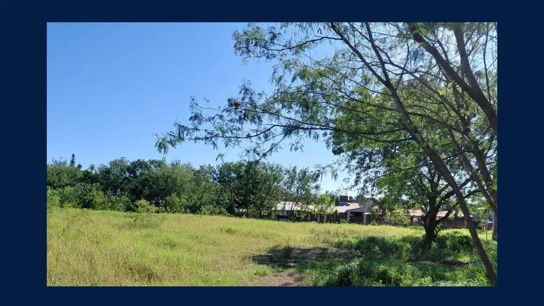 VENTA de 7 LOTES y 1 con DEPOSITO