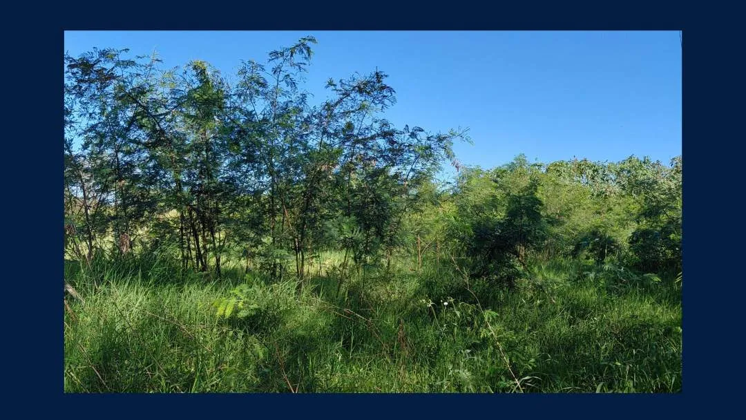 VENTA de 7 LOTES y 1 con DEPOSITO