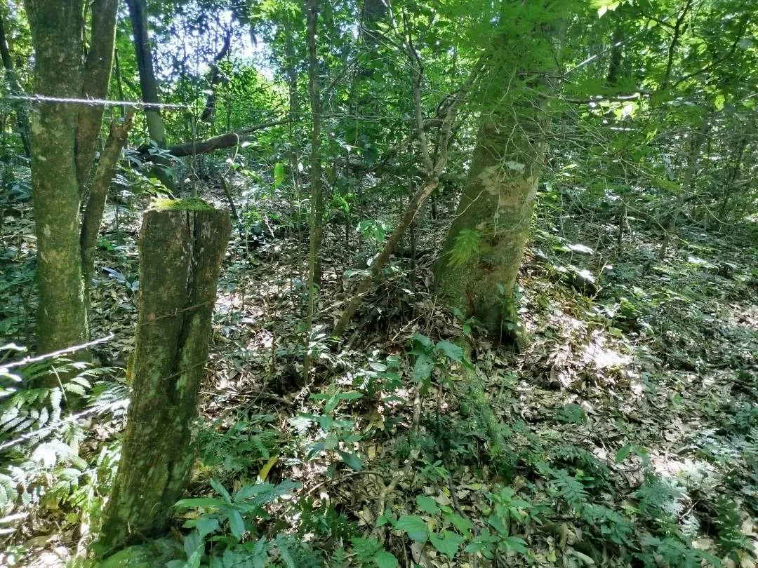 VENTA de LOTES para EMPRENDIMIENTO TURISTICO/  y otro INDUSTRIAL