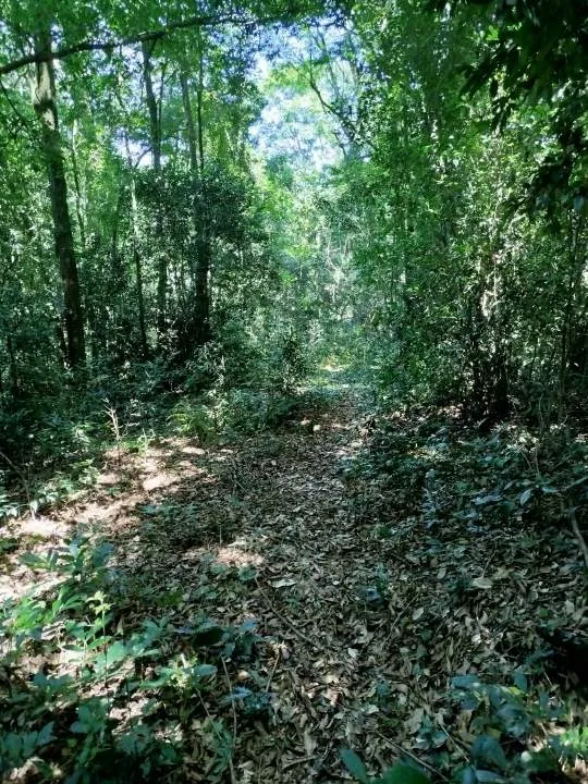 VENTA de LOTES para EMPRENDIMIENTO TURISTICO/  y otro INDUSTRIAL