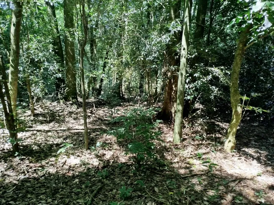 VENTA de LOTES para EMPRENDIMIENTO TURISTICO/  y otro INDUSTRIAL
