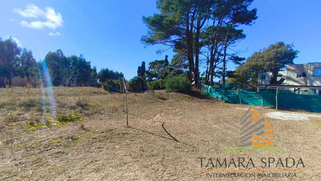 7 ENTRE MITRE Y MENDOZA, GRAN LOTE COMERCIAL