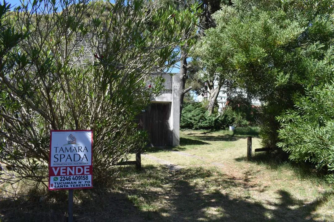 A PASOS DEL MAR Y DENTRO DEL MONTE