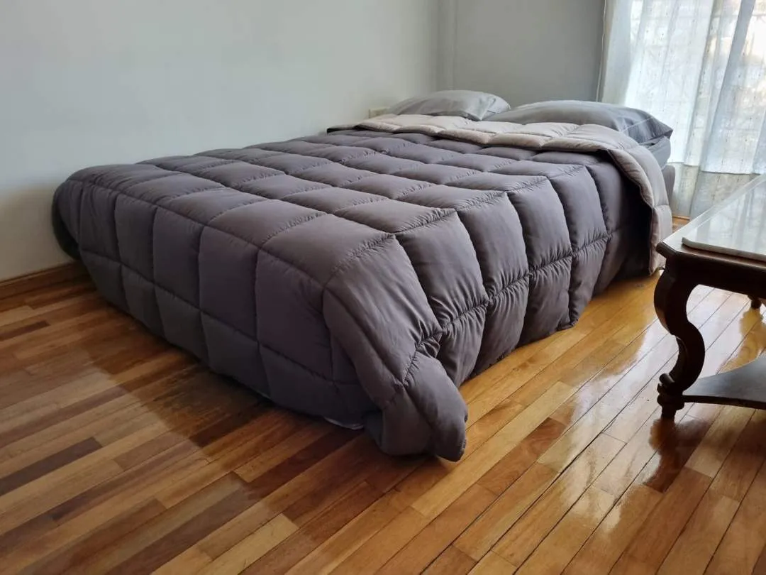 Departamento 2 Ambientes Totalmente Amoblado en Guayaquil 638, Caballito