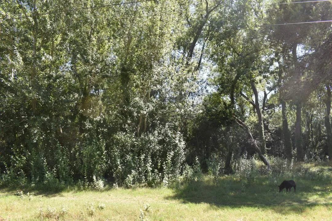 LOTE COMERCIAL EN AV. 27 SOBRE EL MONTE
