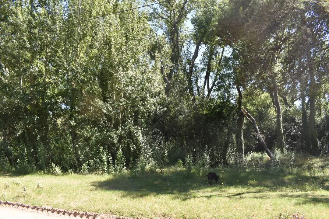 LOTE COMERCIAL EN AV. 27 SOBRE EL MONTE