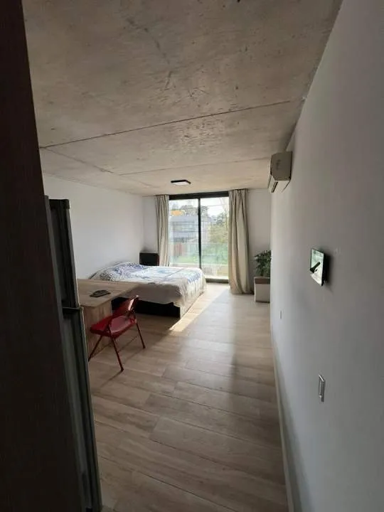 Hermoso monoambiente, Martín Coronado