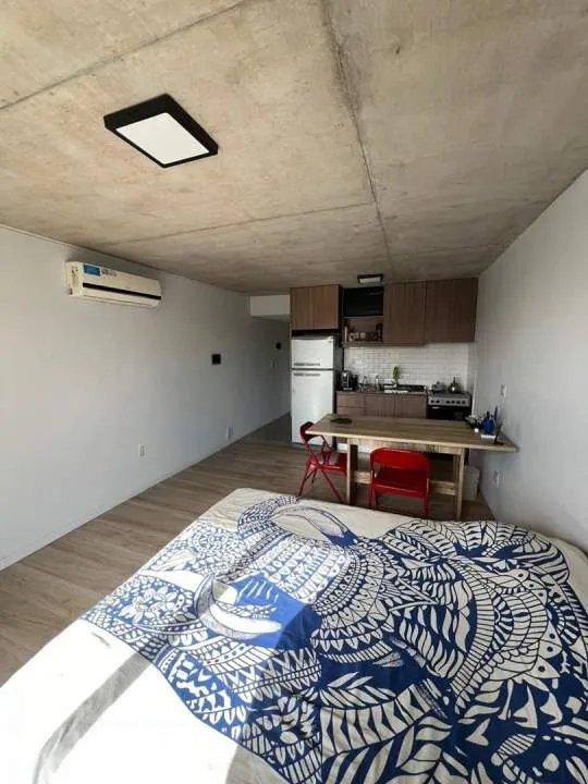Hermoso monoambiente, Martín Coronado
