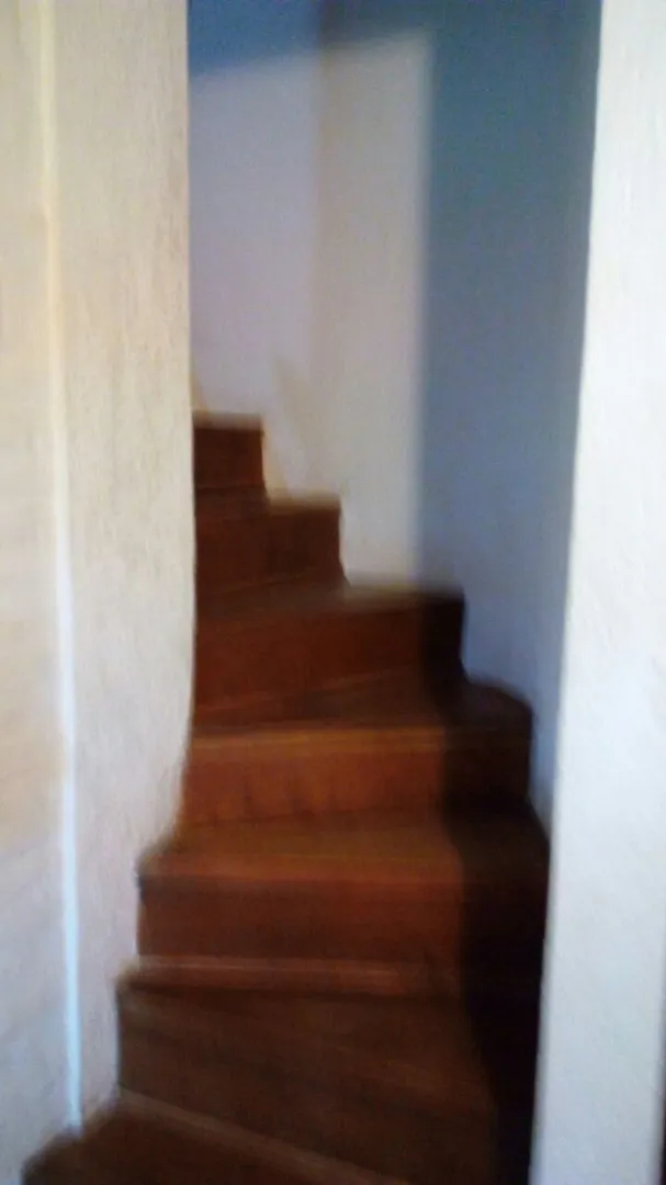 Duplex Tipo Casa , Jardin Propio . Independiente