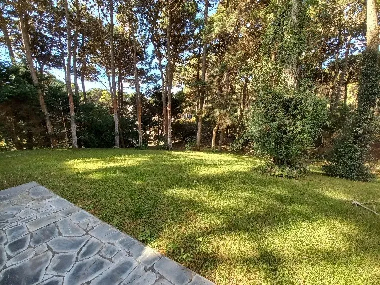 Casa Zona Norte !