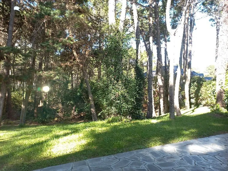Casa Zona Norte !