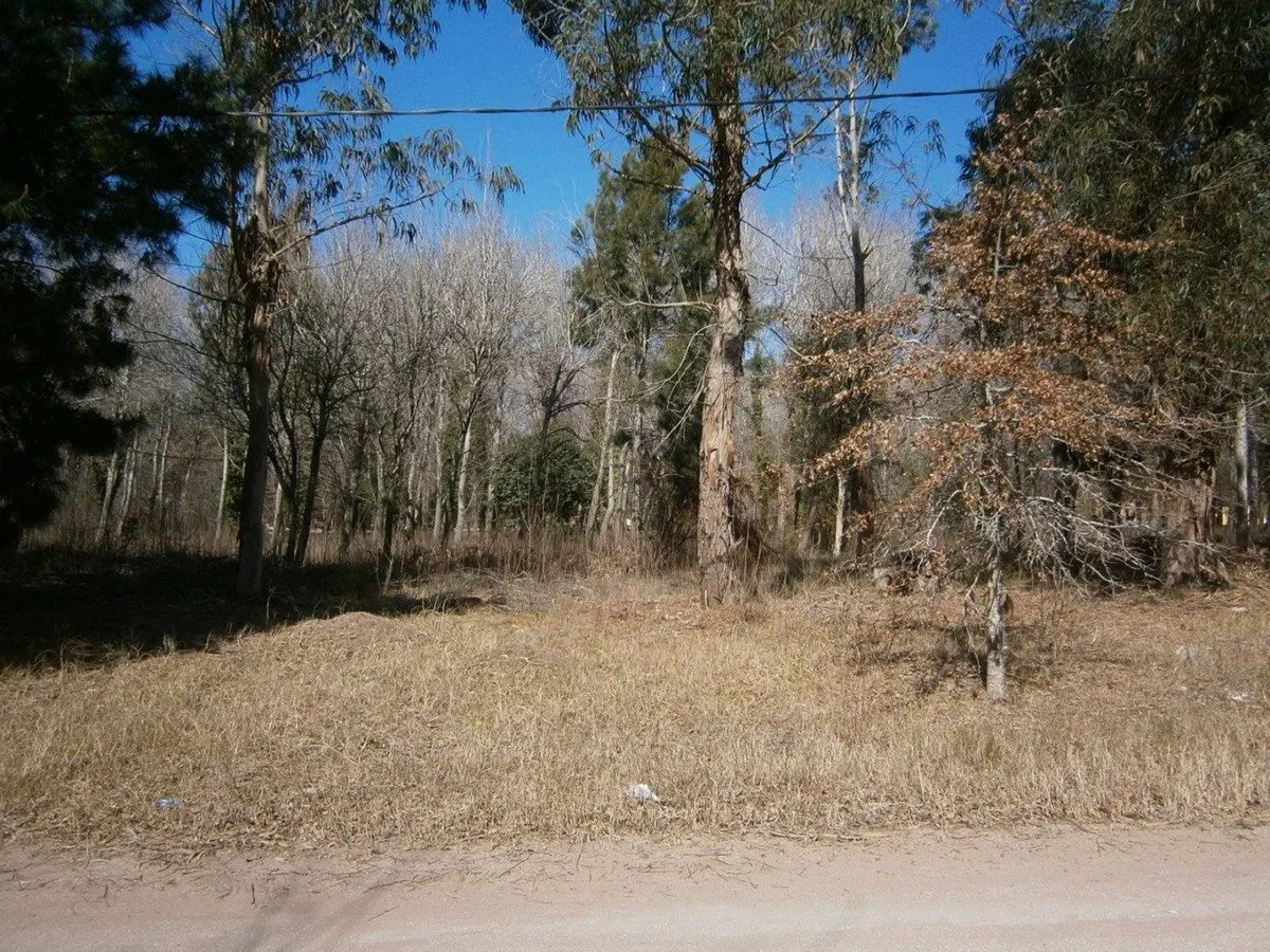 Paseo Del Bosque Manzana F1 Lote 21a