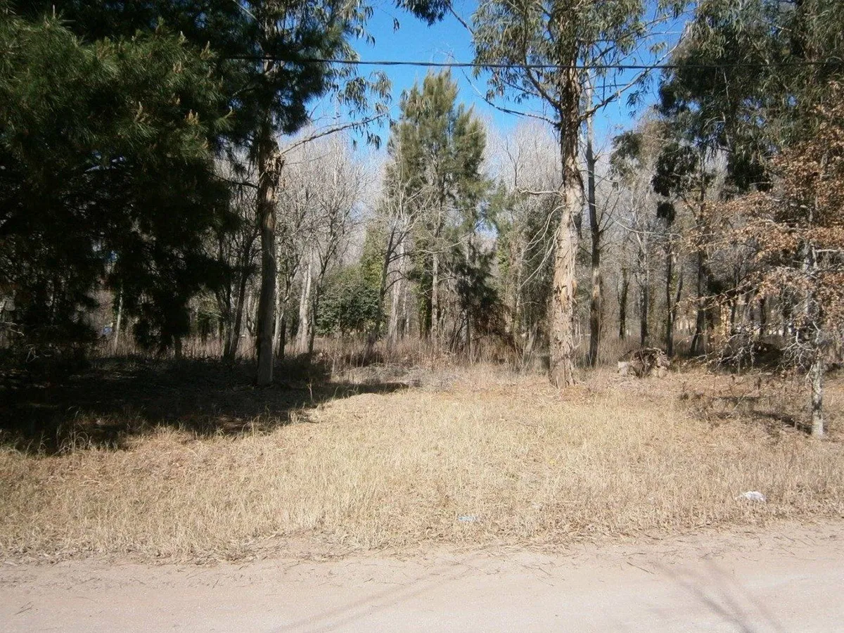 Paseo Del Bosque Manzana F1 Lote 21a