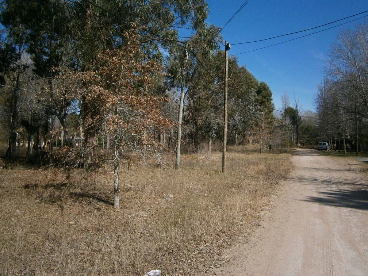 Paseo Del Bosque Manzana F1 Lote 21a