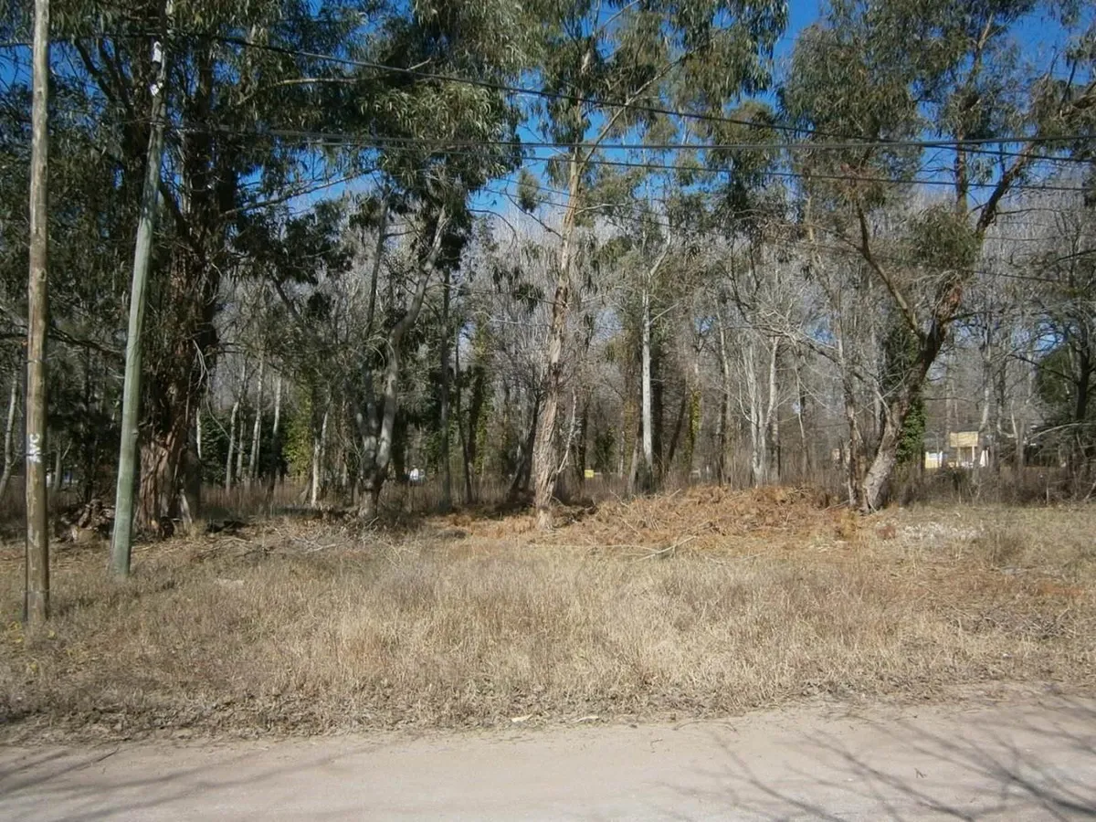 Paseo Del Bosque Manzana F1 Lote 21a