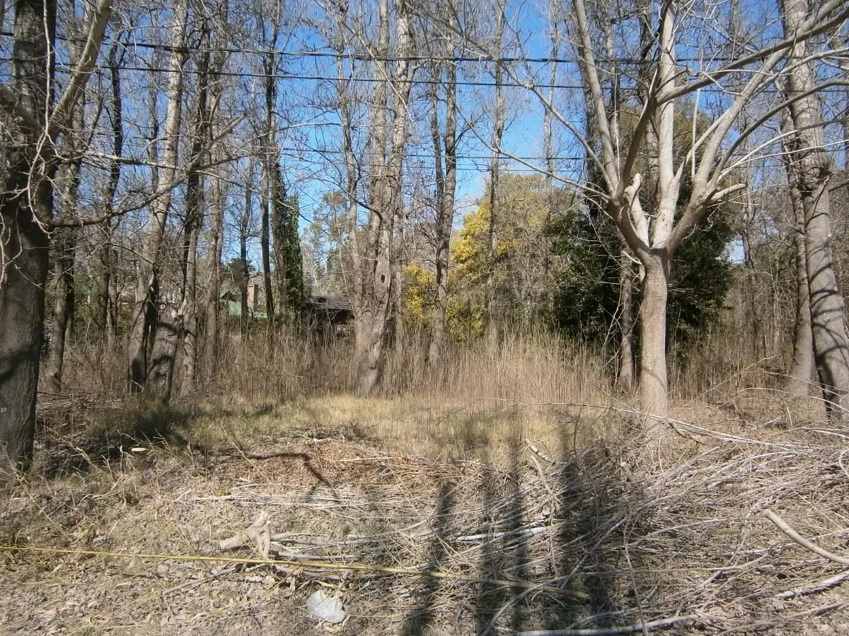 Paseo Del Bosque Manzana F1 Lote 19b