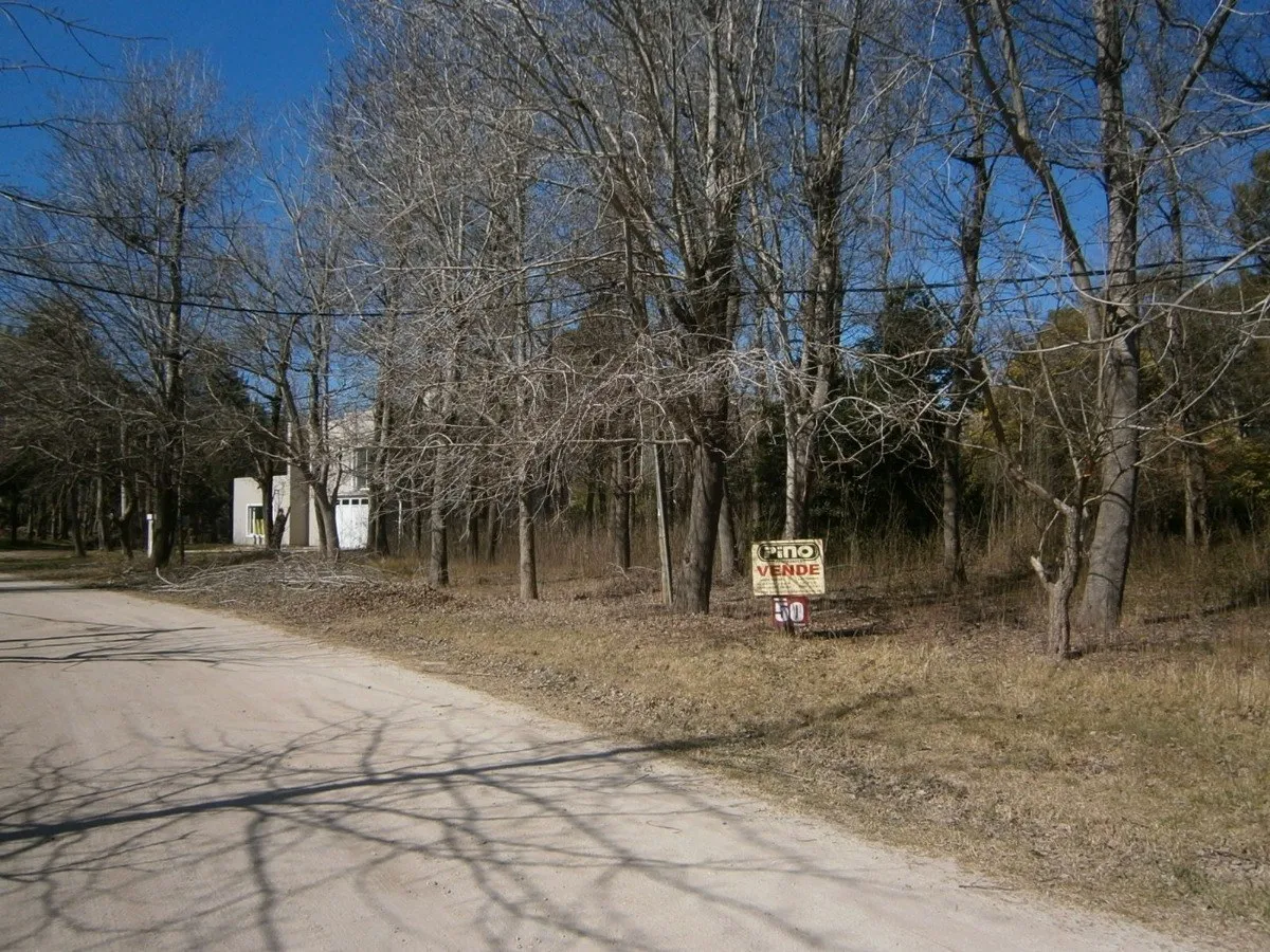 Paseo Del Bosque Manzana F1 Lote 19b