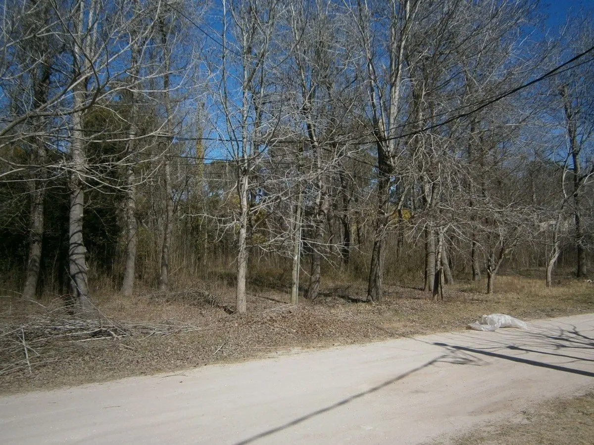 Paseo Del Bosque Manzana F1 Lote 19b
