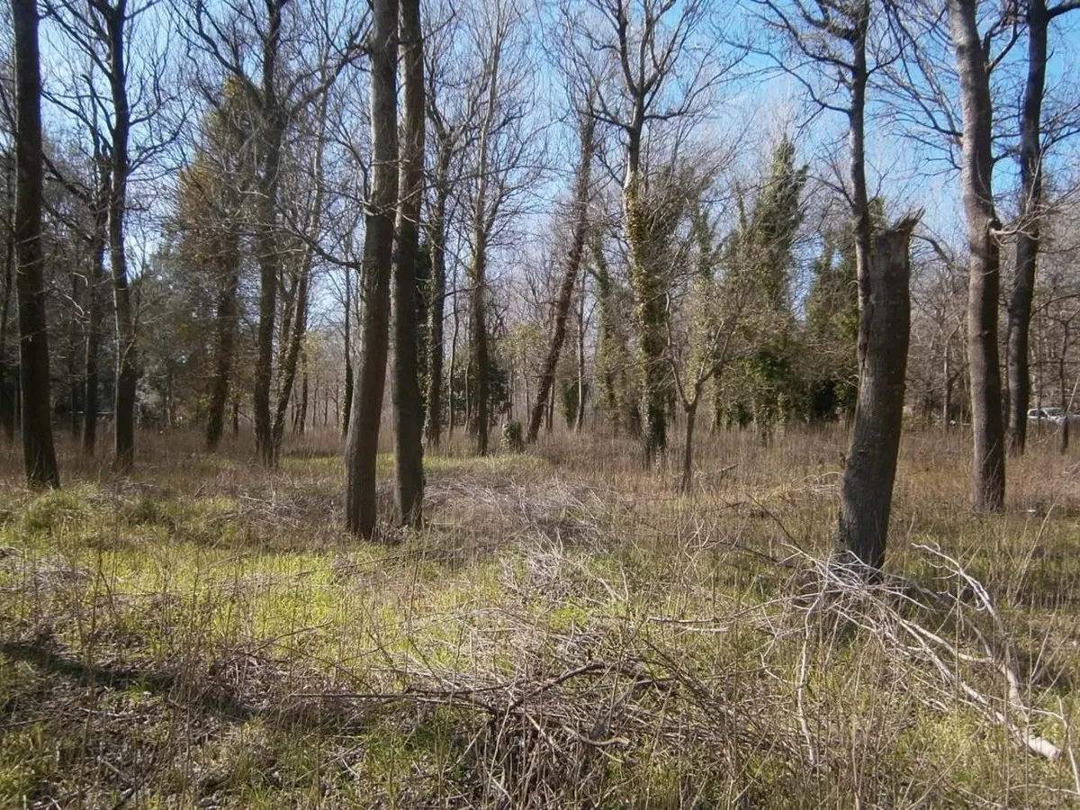 Paseo Del Bosque Manzana F1 Lote 19b