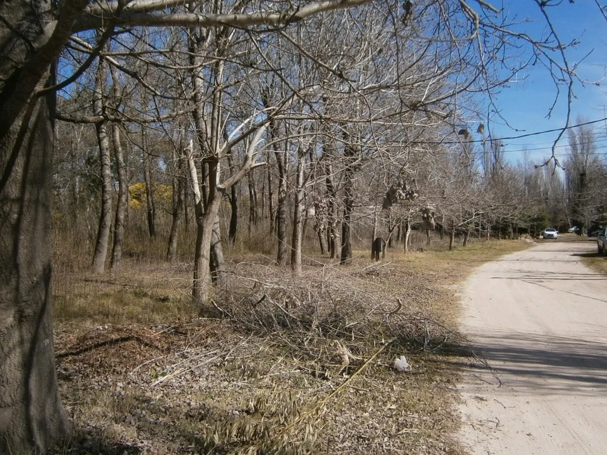 Paseo Del Bosque Manzana F1 Lote 19b