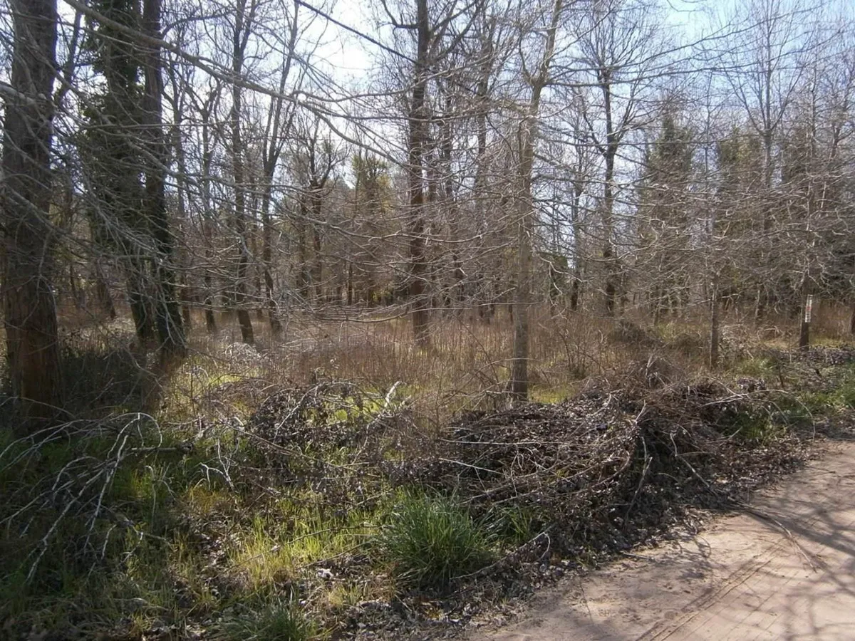 Paseo Del Bosque Manzana F1 Lote 19b